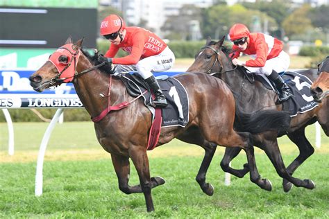 NSW TRIAL REPLAYS .